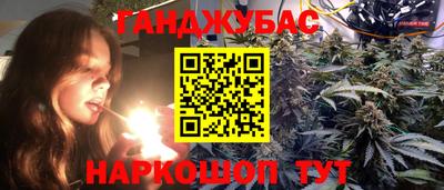 дмт Новокубанск