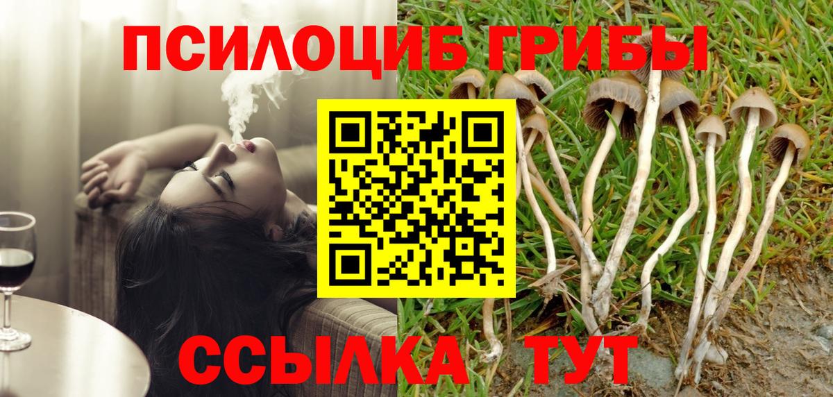 Псилоцибиновые грибы мухоморы Старая Купавна